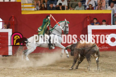 FIFS1377