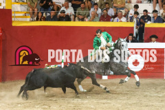 FIFS1631