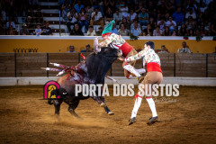 IMG_287