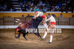 IMG_288