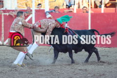 FIFS1444