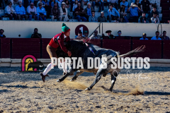 1V6ASAL00801