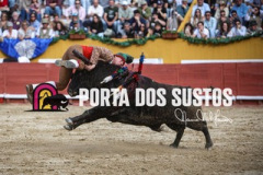 1V6A5569
