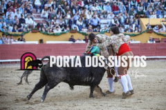 1V6A6368