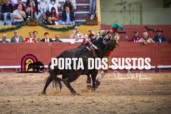 1V6A6749