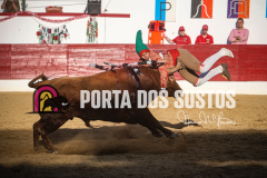 1V6A9491