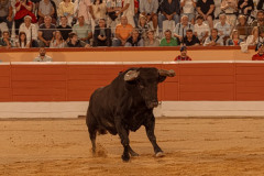 644A7007