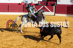 FIFS0737