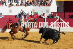 FIFS0991