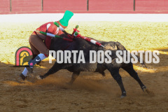 FIFS1368