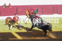 FIFS1371