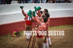 IMG_6498