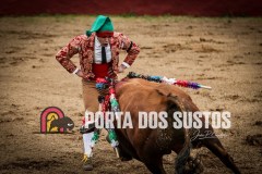 IMG_6594