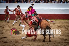 IMG_6623