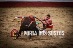 IMG_6666