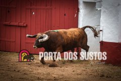 IMG_6690