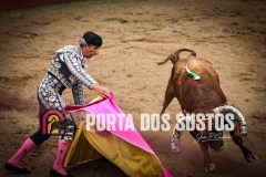 IMG_6706