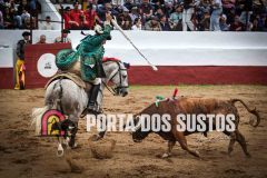 IMG_6726