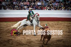 IMG_6732
