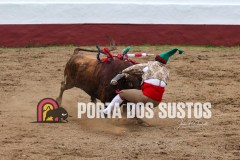 IMG_6784