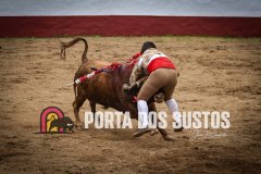 IMG_6798