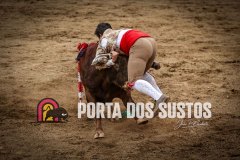 IMG_6803