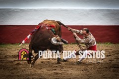 IMG_6819