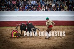 IMG_6920