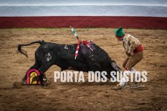 IMG_6938