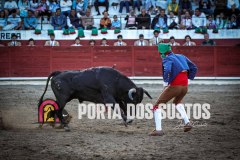 IMG_9033