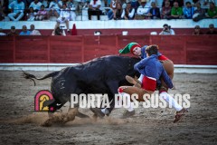 IMG_9053