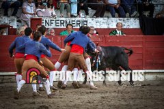 IMG_9520