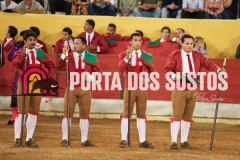 FIFS0260