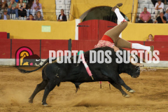 FIFS0523