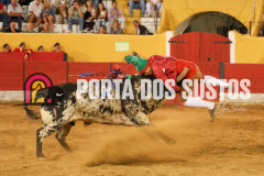 FIFS1203