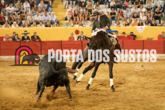 FIFS1431