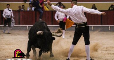 As imagens do Concurso de Recortadores na Palha Blanco
