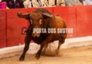 Galeria da Corrida de Toiros na Feira de Maio da Moita – Por: Tomás Carvalho
