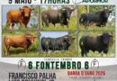 Montemor-o-Novo recebe grande corrida de toiros a 9 de maio