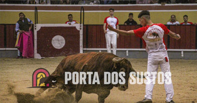 As imagens de Vila Franca – Arte, Valor e Emoção no Concurso Nacional de Recortadores