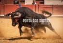 Galeria da Novilhada em Coruche