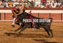 Galeria da Corrida de Toiros em Coruche