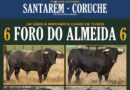 24 de julho | Salvaterra de Magos