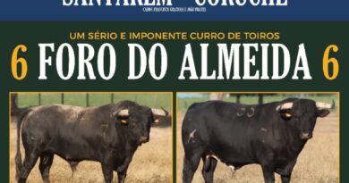 24 de julho | Salvaterra de Magos