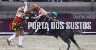 Idanha-a-Nova viveu uma tarde de emoção taurina na Feira Raiana — com fotos