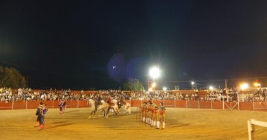 Corrida entretida marcou a Feira do Chocalho nas Alcáçovas – Por: Tiago Correia