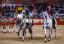 Galeria da Corrida de Toiros da Nazaré