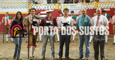Corrida de Toiros em Póvoa e Meadas marcada pela tradição – Com Fotos