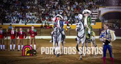 Reguengos | Praça cheia e toiros sérios marcaram o tradicional 15 de Agosto
