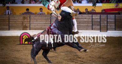 Reguengos de Monsaraz viveu uma noite de emoção na Praça José Mestre Batista – Com Fotos